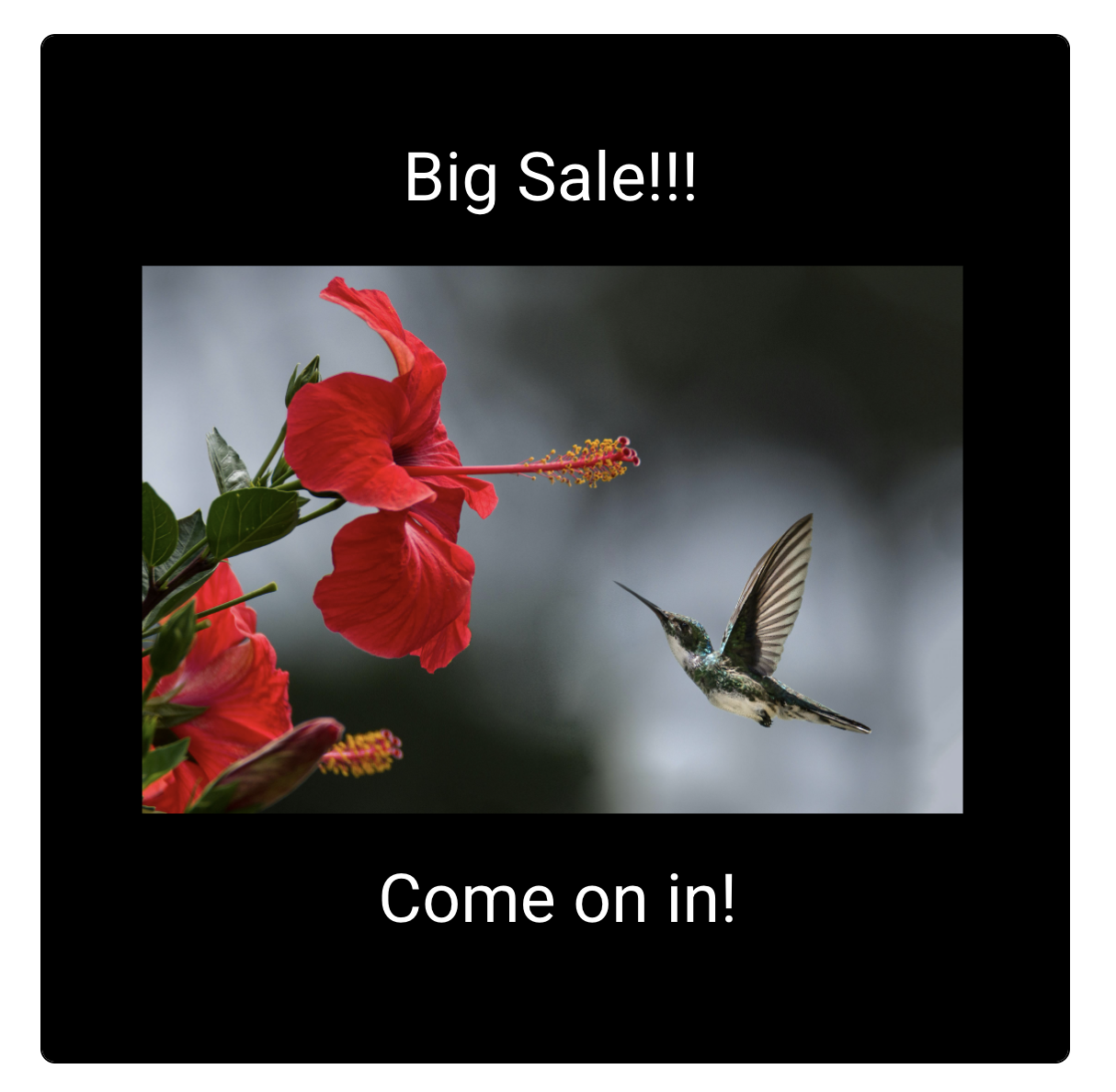 A sample slide being graded: Big Sale!!! Come on in!