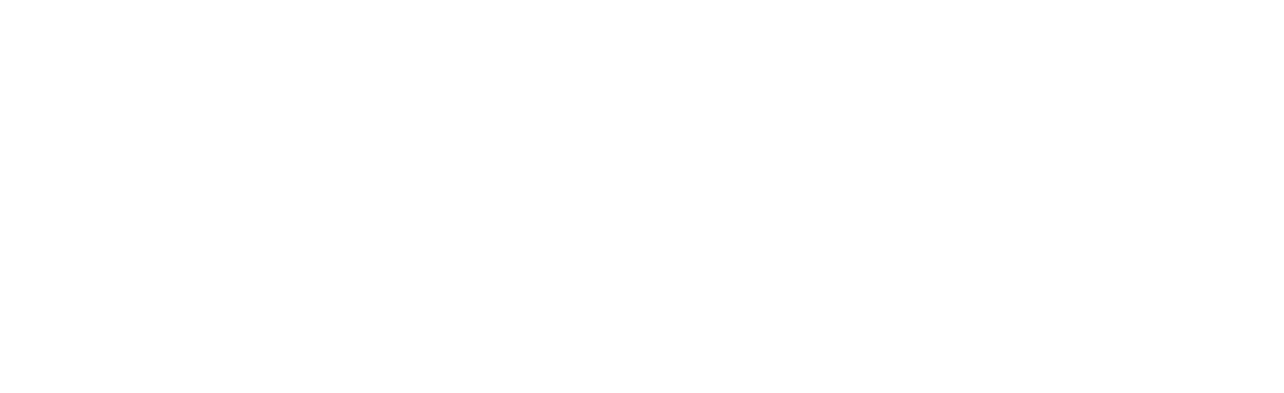 Cirrus-Horizontal-LOGO-BW[RGB]-WHT-1